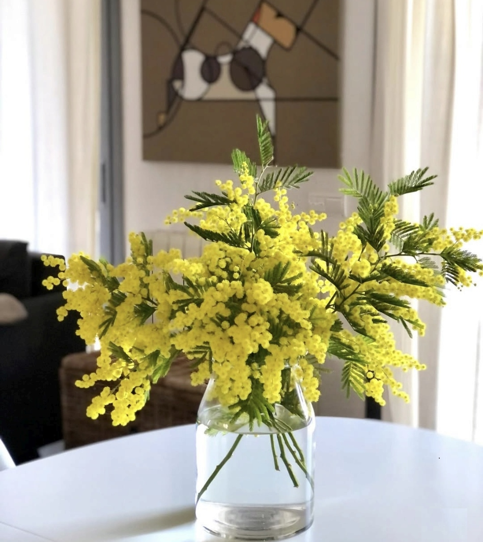 Mimosa Events 2